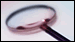 Search